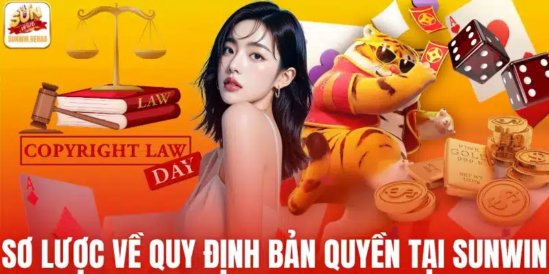 Sơ lược về quy định bản quyền tại Sunwin